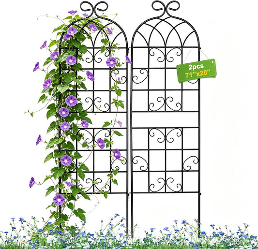 Lorenzo 2 Pcs 70 x 20 Inch Rustic Iron Garden Trellis for Climbing Plants Outdoor, Black Metal Arch Decoration Plant Supporting Perfect for Roses Flower Cucumbers Courtyards Lawns Clematis