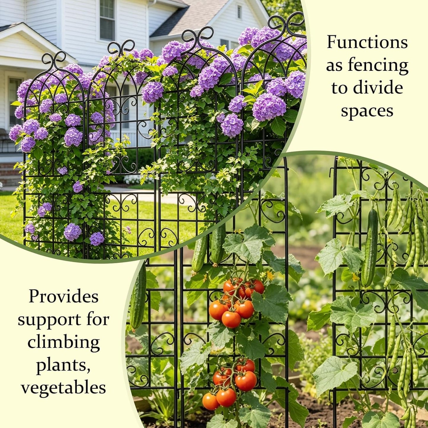 Lorenzo 2 Pcs 70 x 20 Inch Rustic Iron Garden Trellis for Climbing Plants Outdoor, Black Metal Arch Decoration Plant Supporting Perfect for Roses Flower Cucumbers Courtyards Lawns Clematis