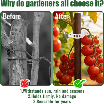 300Pcs Thickened Tomato Clips, Plant Support Clips Plastic Trellis Clips