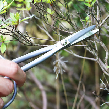 Bonsai Twig Shears Made in Japan 8", Japanese Stainless Steel Blade, Precision Bonsai Scissors for Fine Pruning and Trimming