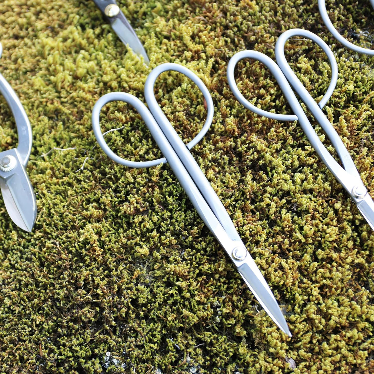 Bonsai Twig Shears Made in Japan 8", Japanese Stainless Steel Blade, Precision Bonsai Scissors for Fine Pruning and Trimming