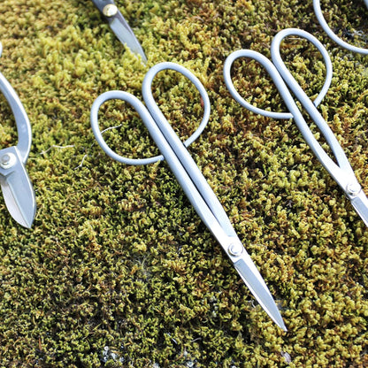 Bonsai Twig Shears Made in Japan 8", Japanese Stainless Steel Blade, Precision Bonsai Scissors for Fine Pruning and Trimming