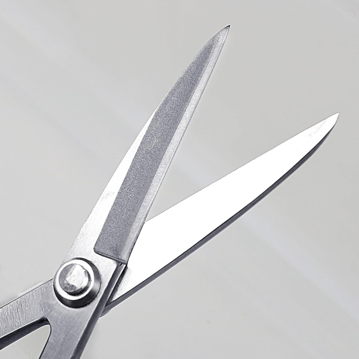 Bonsai Twig Shears Made in Japan 8", Japanese Stainless Steel Blade, Precision Bonsai Scissors for Fine Pruning and Trimming
