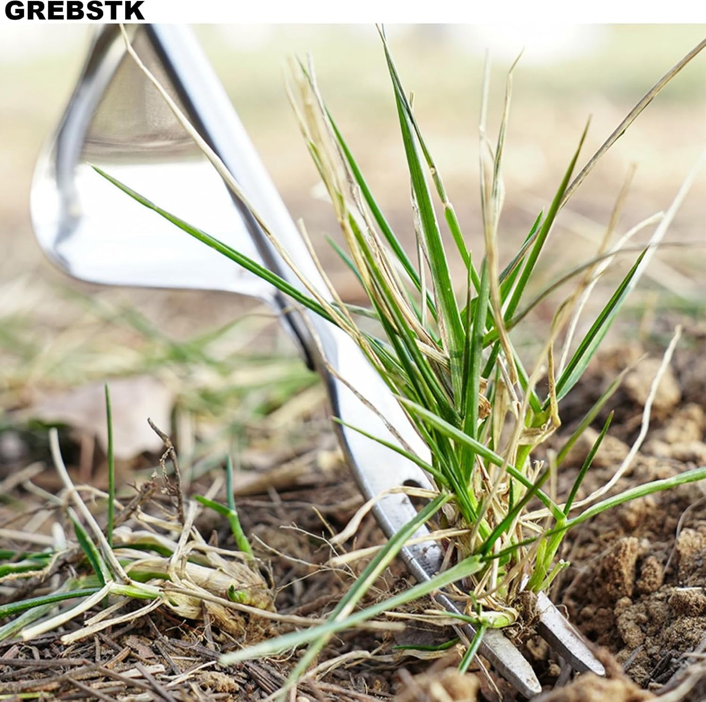 Hand Fork Stainless Steel Beech Handle Garden Tool Hand Weeder Fork for Aerating, Planting, Spreading Mulch, Weeding, Loosening, Transplanting Soil
