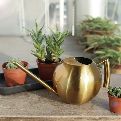1L Stainless Steel Watering Can, Long Spout Indoor