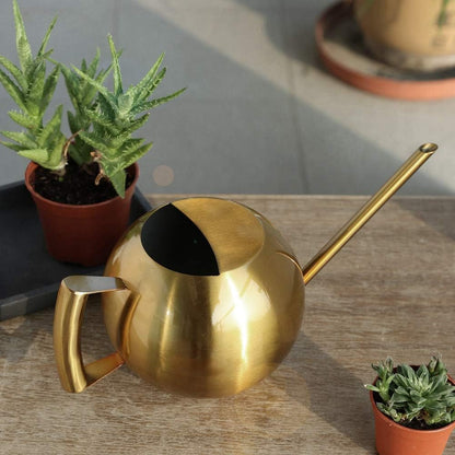 1L Stainless Steel Watering Can, Long Spout Indoor