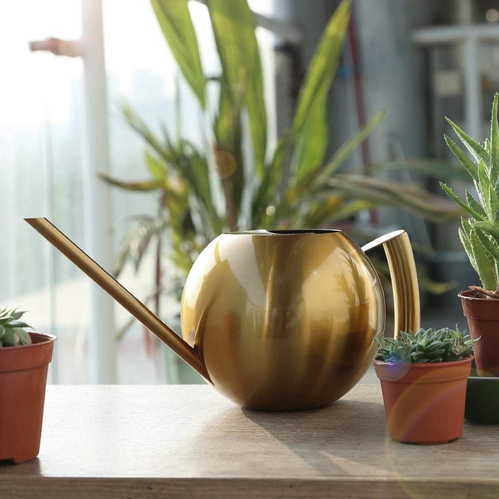 1L Stainless Steel Watering Can, Long Spout Indoor