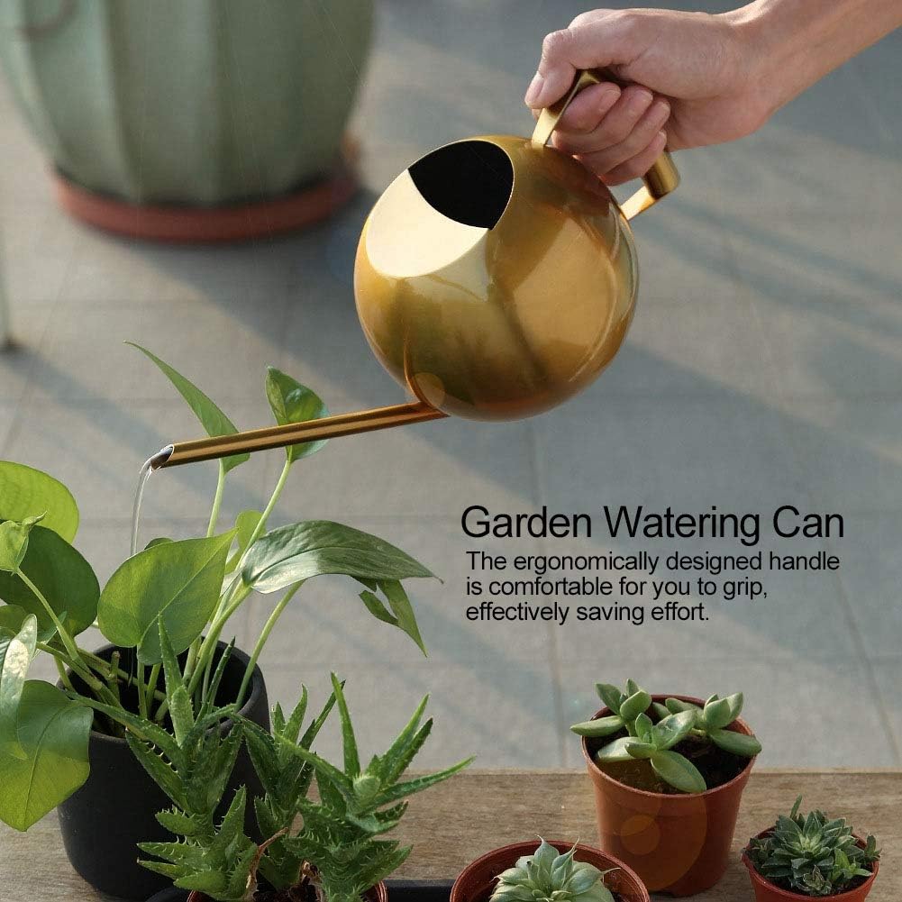 1L Stainless Steel Watering Can, Long Spout Indoor