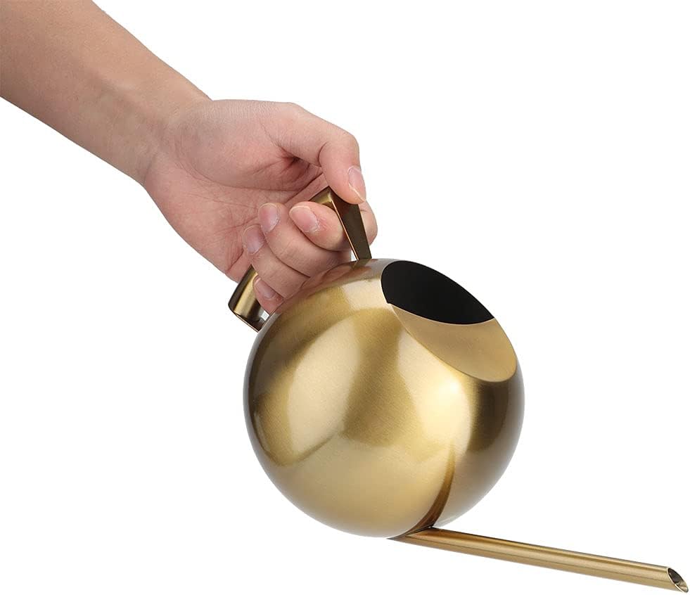 1L Stainless Steel Watering Can, Long Spout Indoor