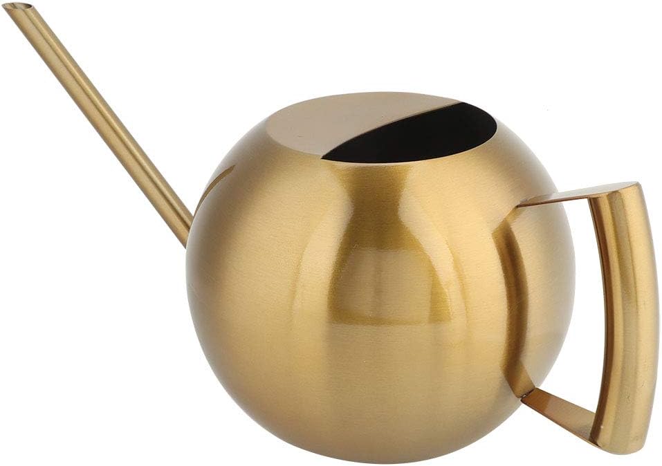 1L Stainless Steel Watering Can, Long Spout Indoor