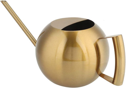 1L Stainless Steel Watering Can, Long Spout Indoor