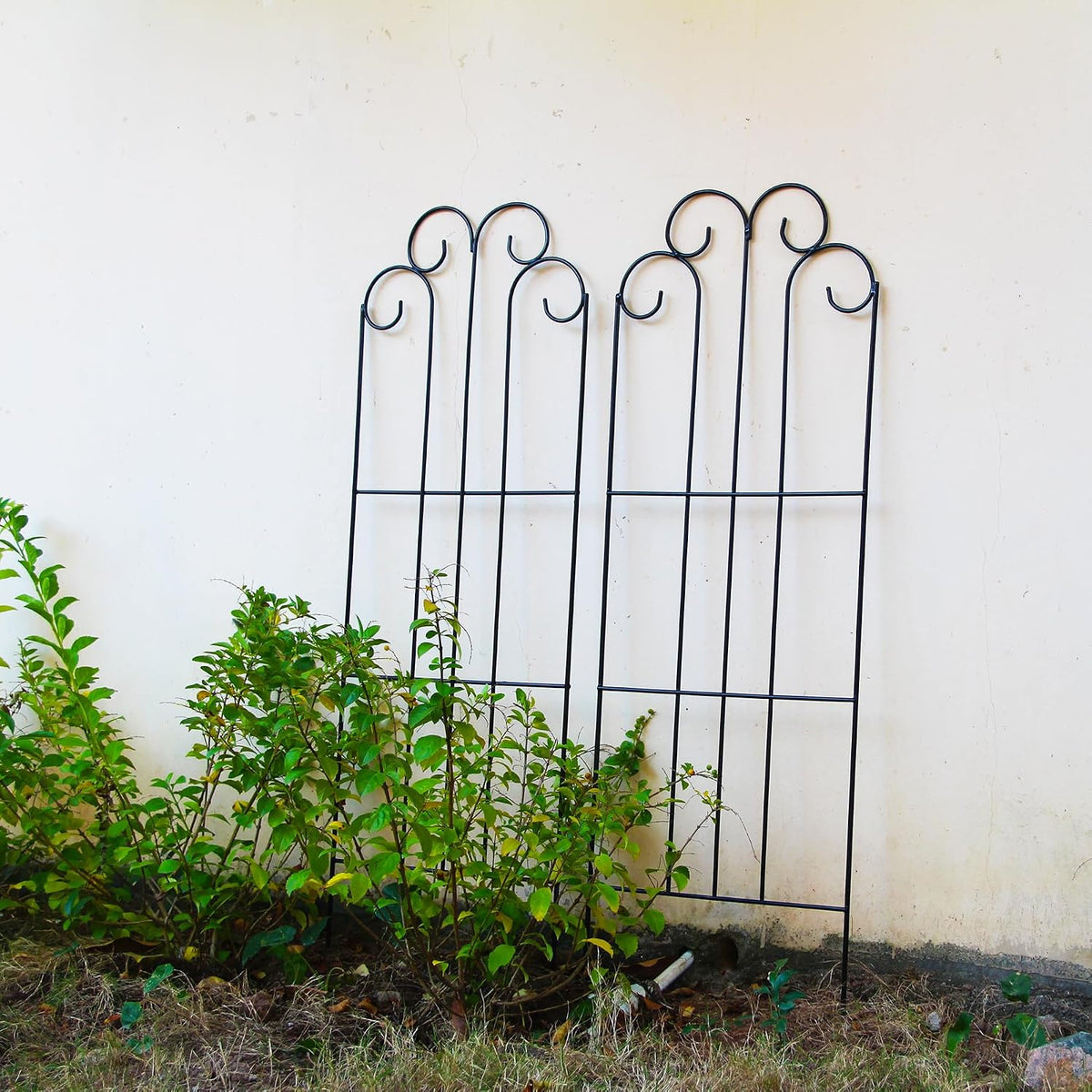 2 Pack Black Garden Trellis for Climbing Plants 45” x 15.9” Iron Plant Support Climbing Vines and Flowers Stands Vegetables Patio Metal Lattices Grid Panels for Ivy Cucumbers