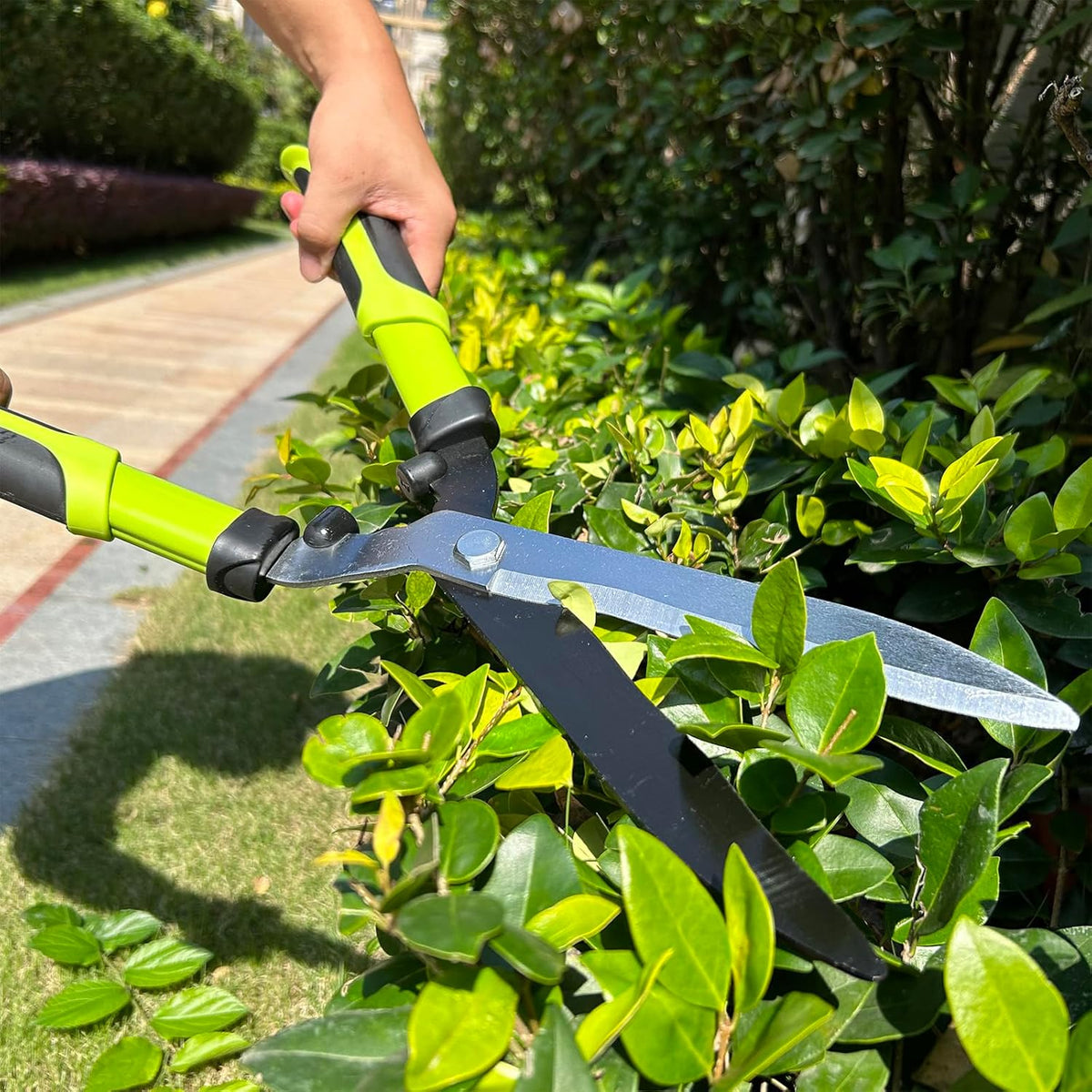 Loppers, Hedge Clippers, Garden Shears Set for Gardening