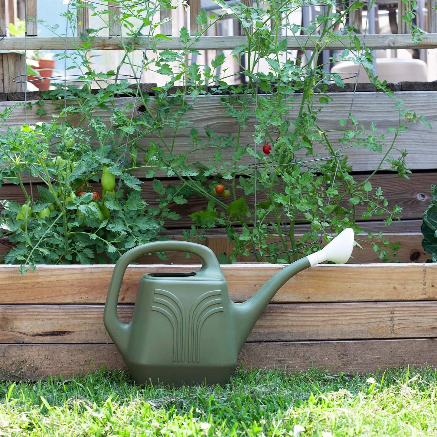 Promo Watering Can: 2 Gallon Capacity - Living Green - Durable Resin, Removable Nozzle Spout, Two Handles, Wide Mouth, for Indoor and Outdoor Use, Gardening