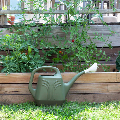 Promo Watering Can: 2 Gallon Capacity - Living Green - Durable Resin, Removable Nozzle Spout, Two Handles, Wide Mouth, for Indoor and Outdoor Use, Gardening