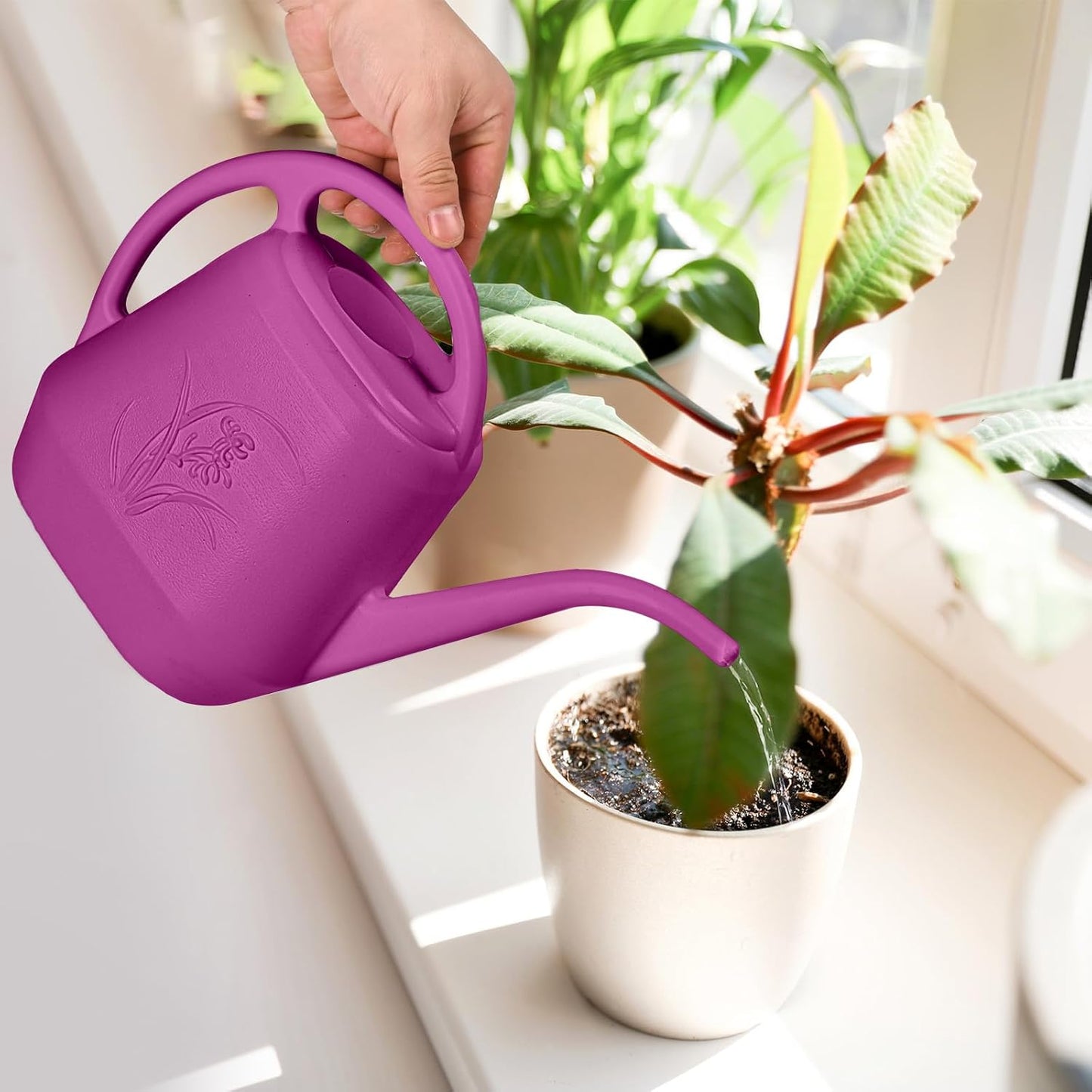 Watering Can - for Home Plant Garden - 1/2 Gallon - Rose Red