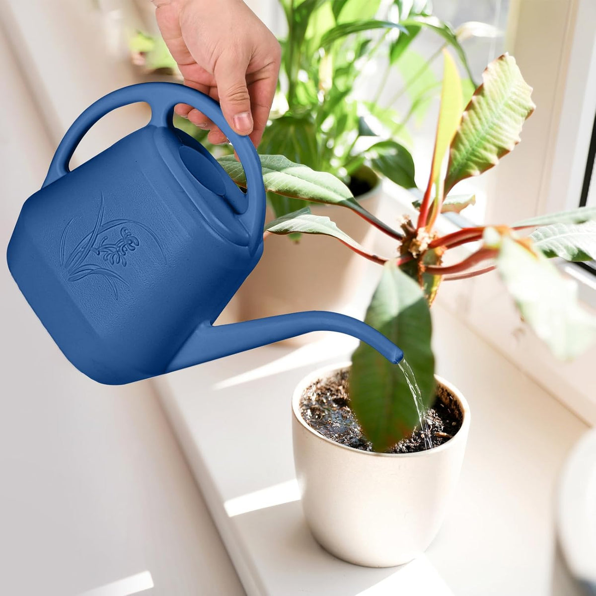 Watering Can - for Home Plant Garden - 1/2 Gallon - Rose Red