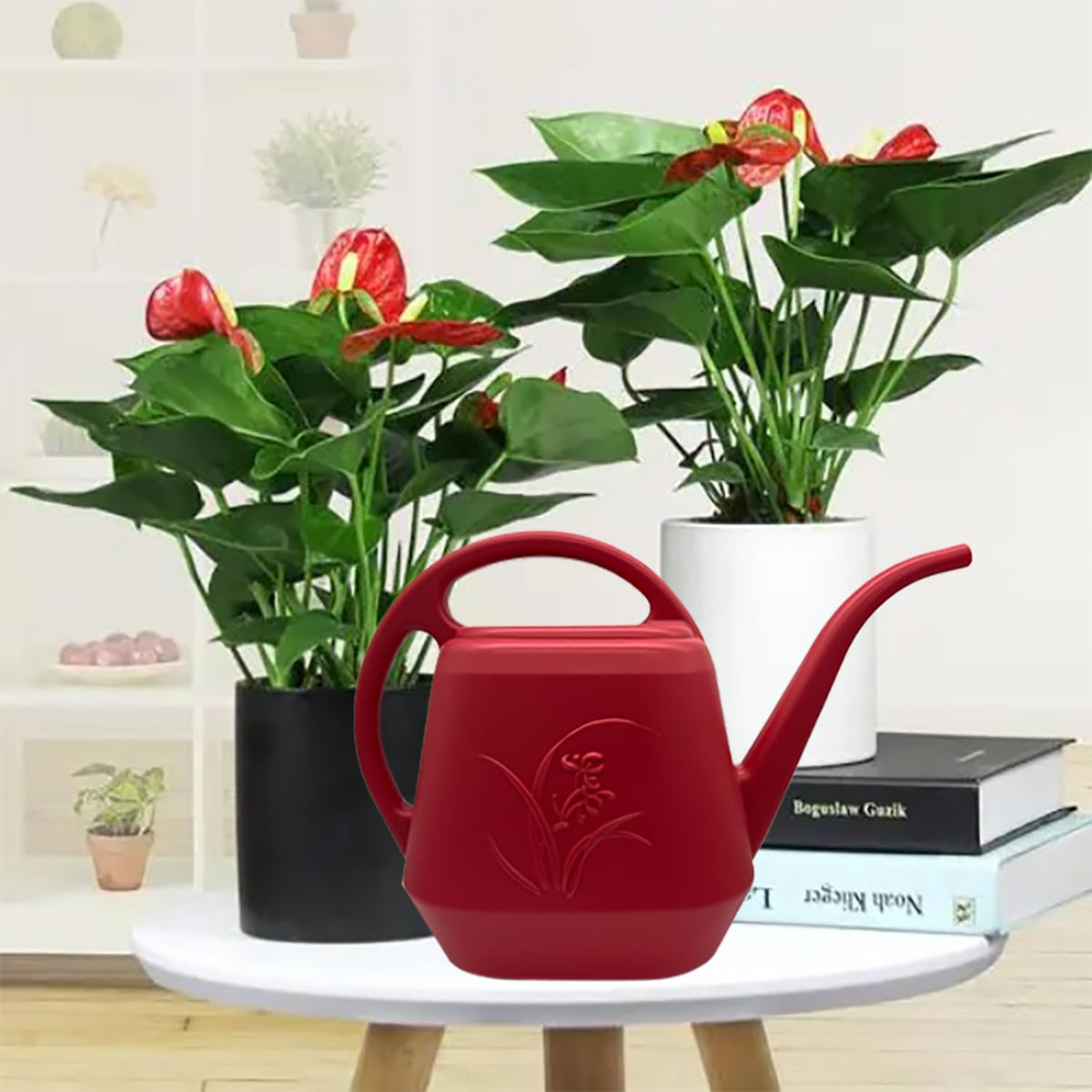 Watering Can - for Home Plant Garden - 1/2 Gallon - Rose Red