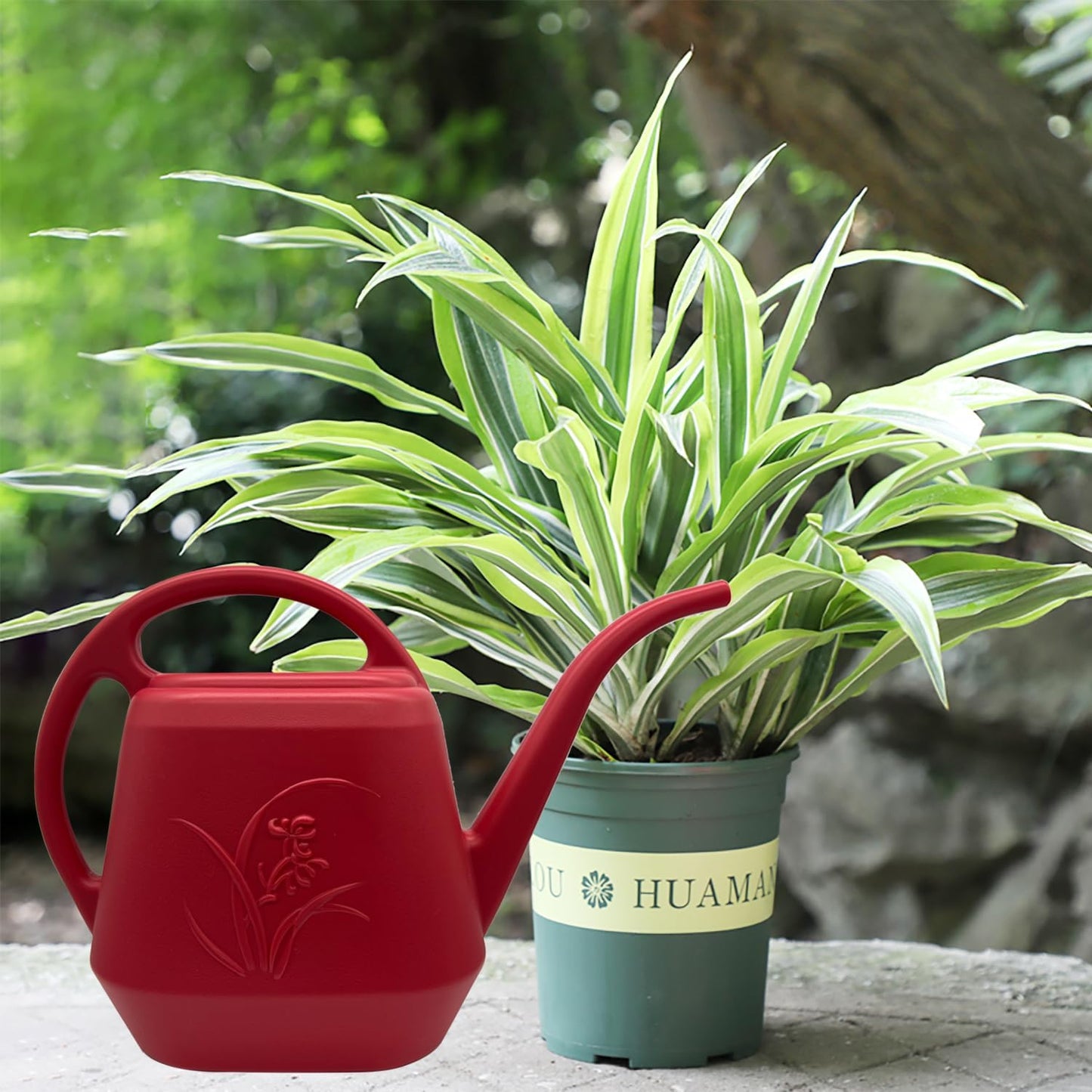 Watering Can - for Home Plant Garden - 1/2 Gallon - Rose Red