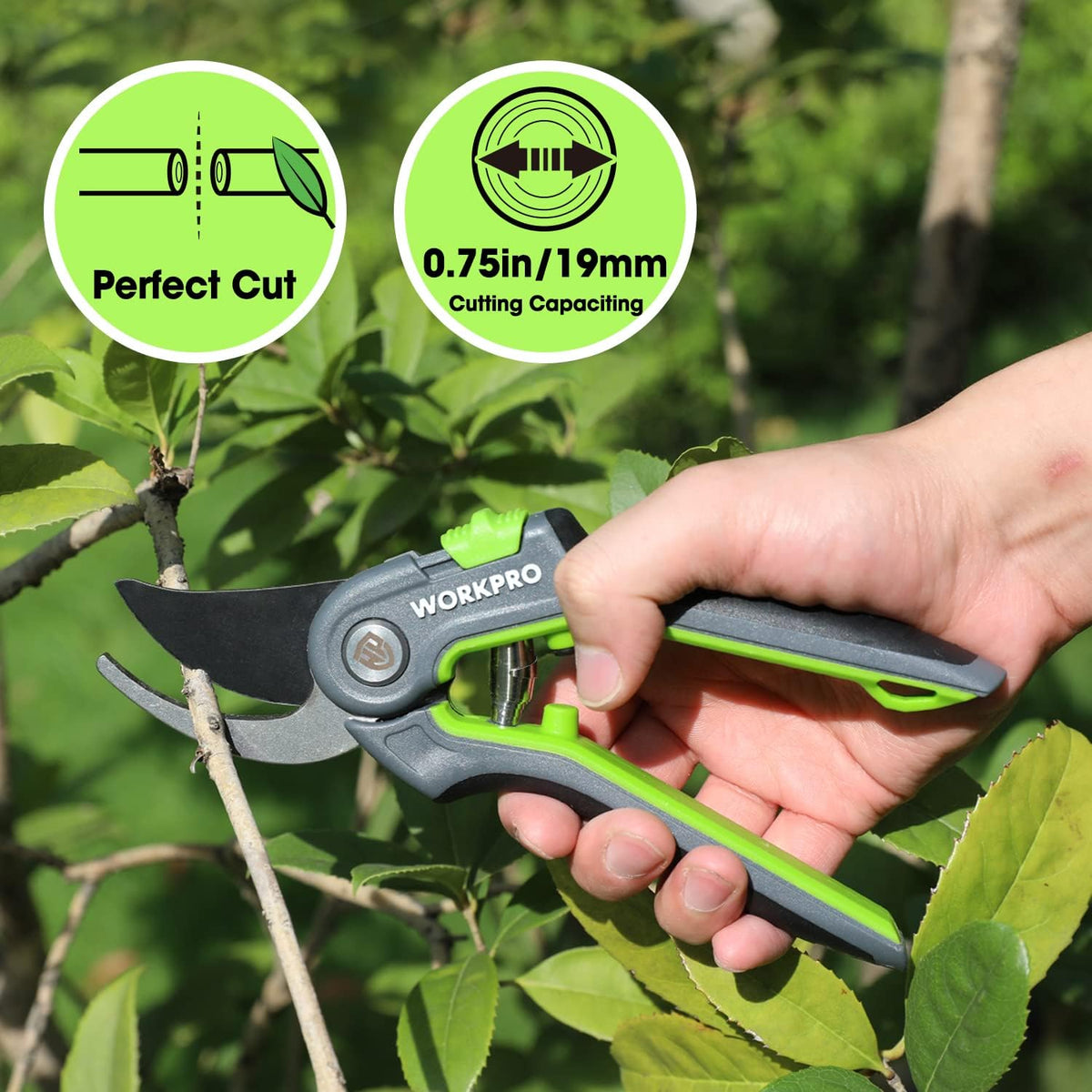 Pruning Shears, Garden Clippers with SK5 Steel Blades, 8" Bypass