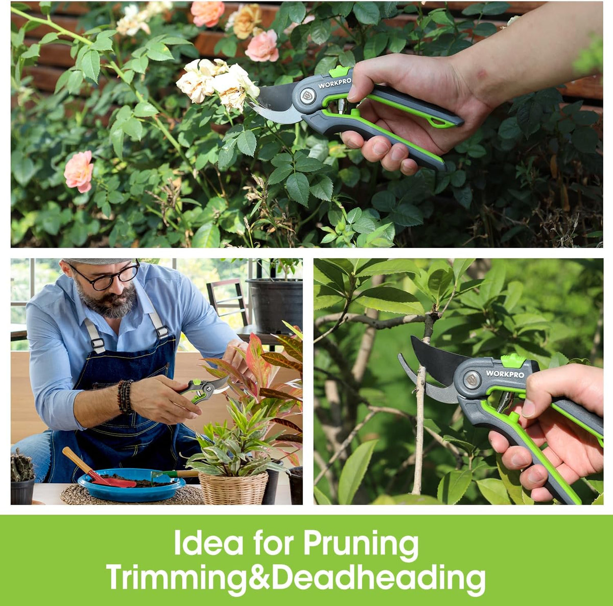 Pruning Shears, Garden Clippers with SK5 Steel Blades, 8" Bypass