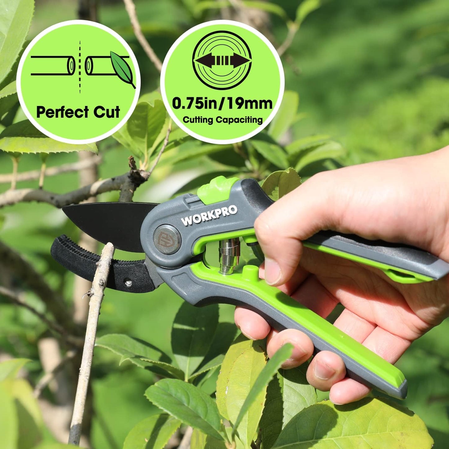 Pruning Shears, Garden Clippers with SK5 Steel Blades, 8" Bypass
