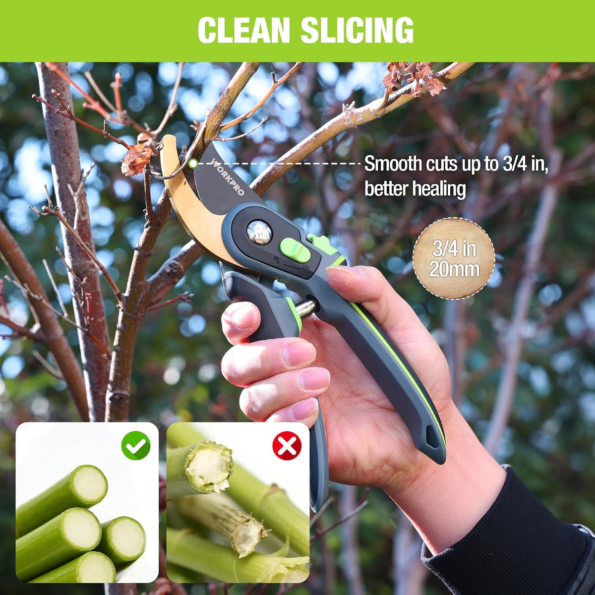 Pruning Shears, Garden Clippers with SK5 Steel Blades, 8" Bypass