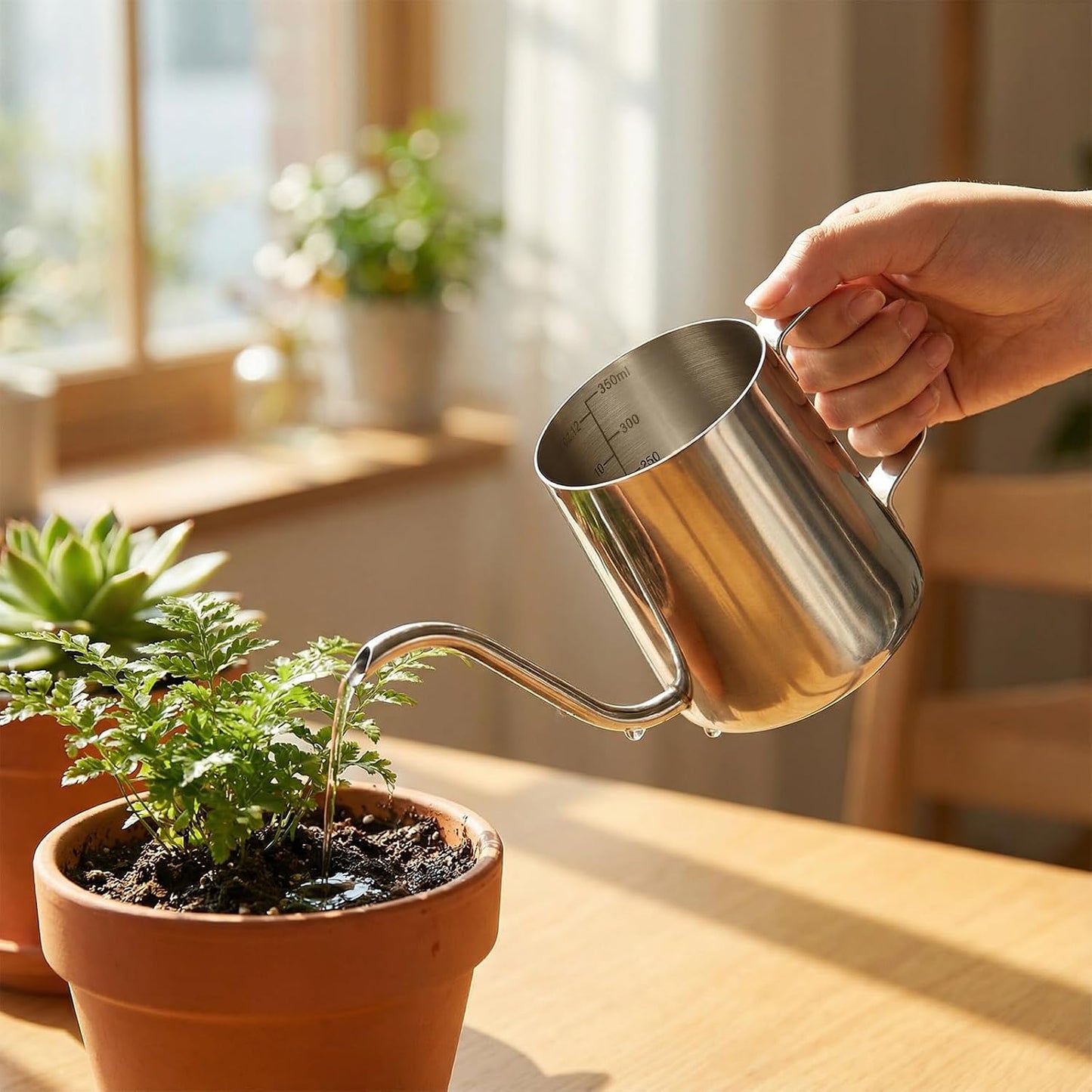 350ml Small Watering Can for Indoor Plants, 12oz Mini Plant Watering Pot with Long Spout and Handle, Black Tiny Stainless Steel Watering-Can for Outdoor Indoor Plants Flower Garden
