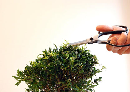 200 Plant Shears, A-Shaped, Long, 35.4 inches (90 cm), Black