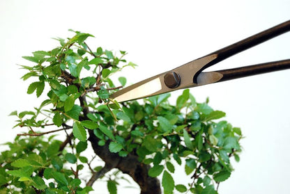 200 Plant Shears, A-Shaped, Long, 35.4 inches (90 cm), Black