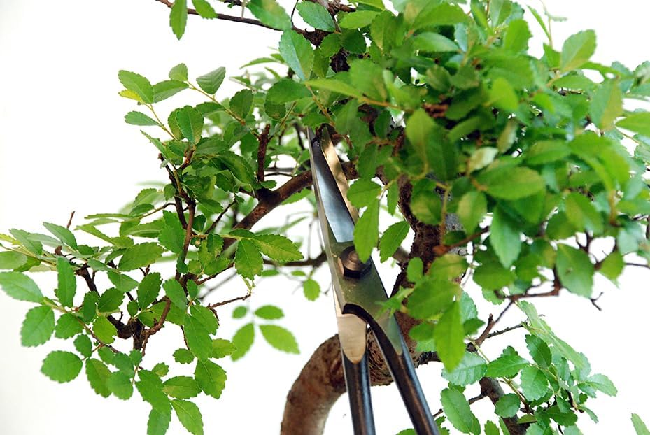 200 Plant Shears, A-Shaped, Long, 35.4 inches (90 cm), Black