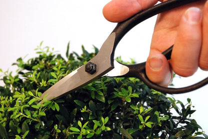 200 Plant Shears, A-Shaped, Long, 35.4 inches (90 cm), Black