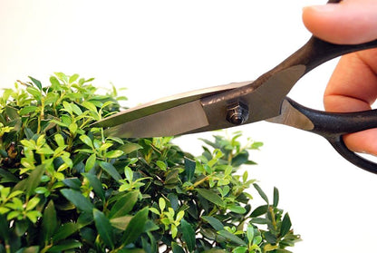 200 Plant Shears, A-Shaped, Long, 35.4 inches (90 cm), Black