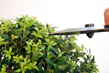 200 Plant Shears, A-Shaped, Long, 35.4 inches (90 cm), Black