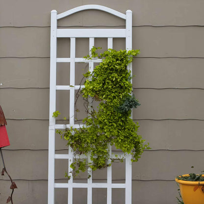 Cambridge Wall Mounted Garden Vinyl Trellis, 28" x 75", White