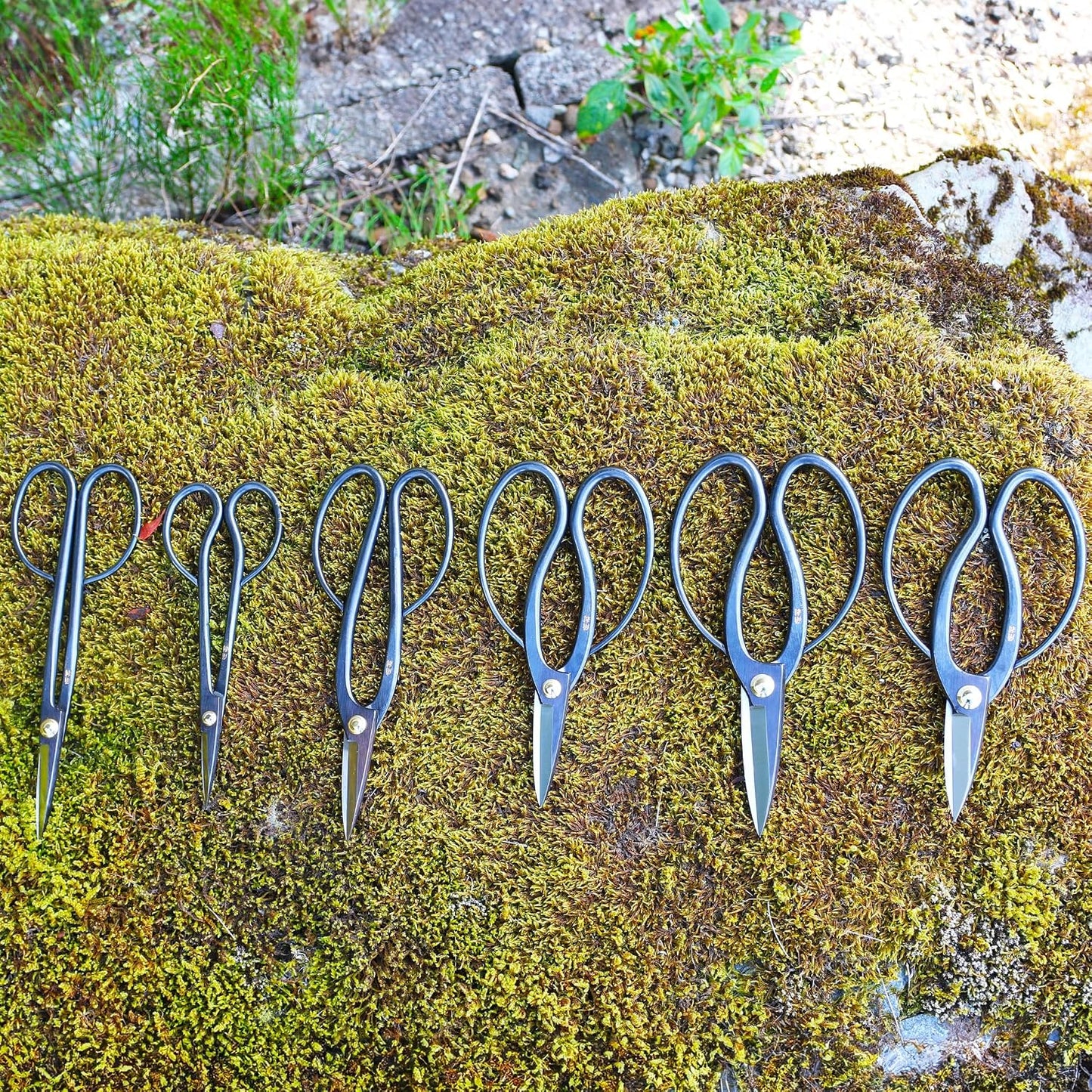 Satsuki Bonsai Scissors Made in Japan 7", Japanese Carbon Steel Blade, Precision Bonsai Shears for Fine Pruning and Trimming