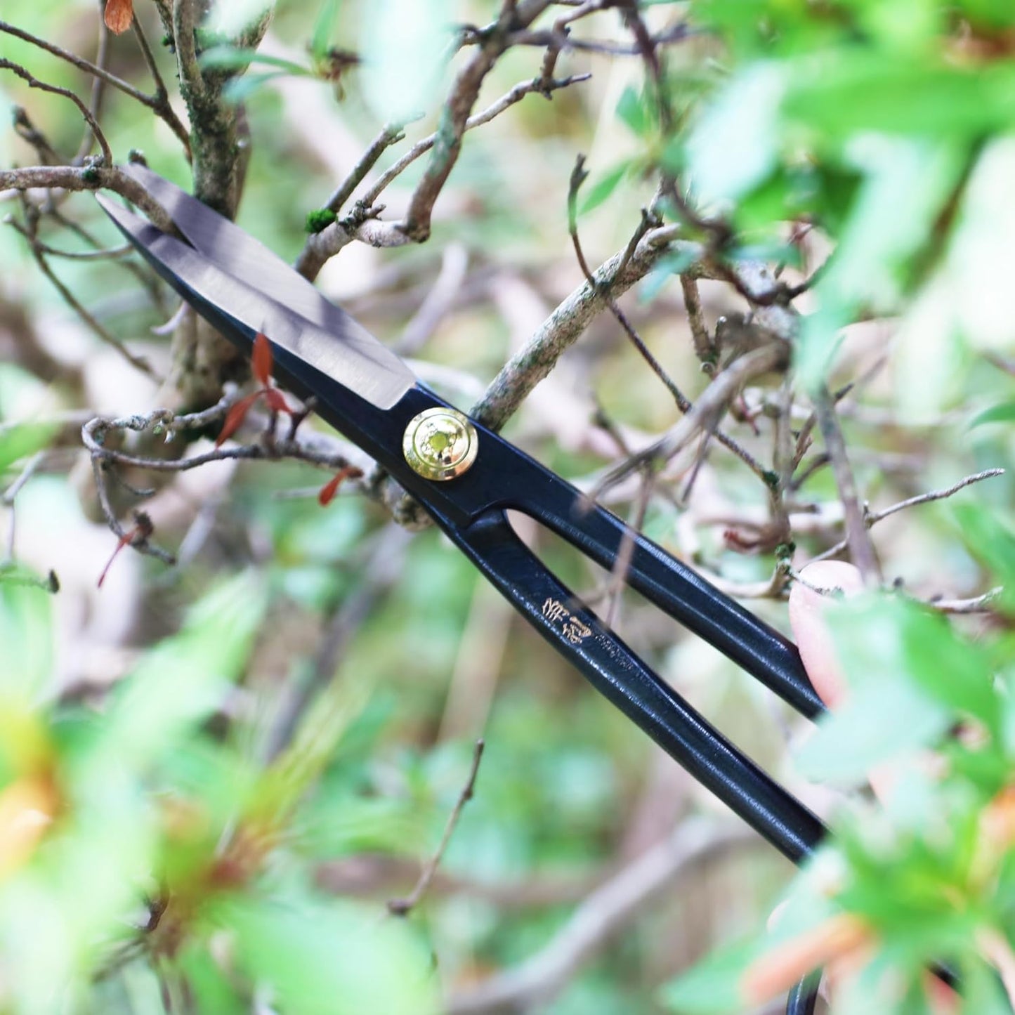 Satsuki Bonsai Scissors Made in Japan 7", Japanese Carbon Steel Blade, Precision Bonsai Shears for Fine Pruning and Trimming
