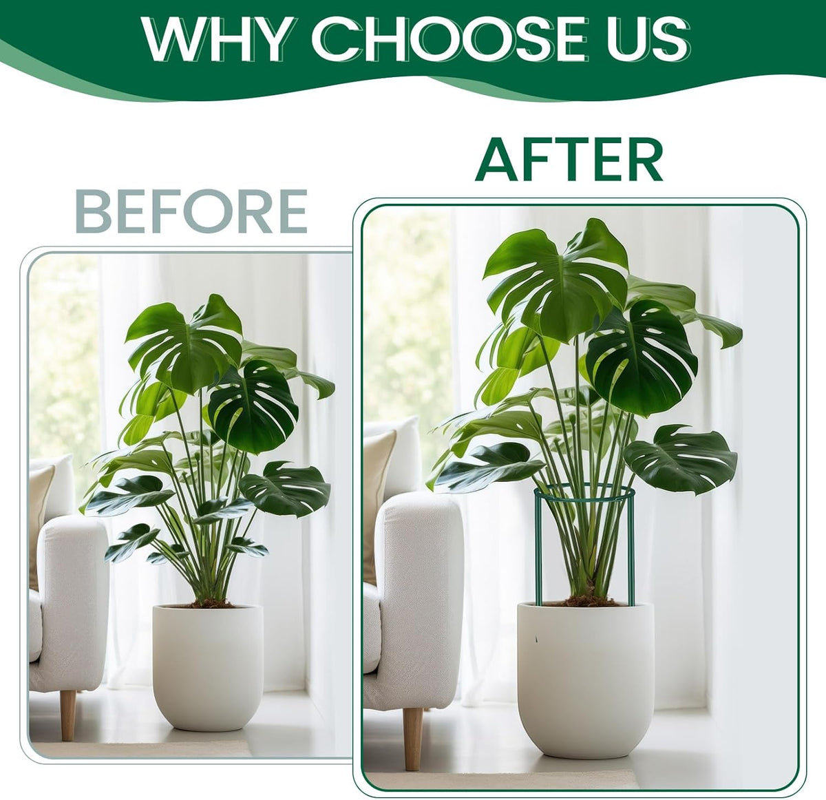 24 Pcs Snake Plant Support Stakes 10" W x 16" H Half Round Peony Cages and Supports Plant Ring Metal Garden Ring Border for Indoor Outdoor Tomato Hydrangea Peony Flower Monstera