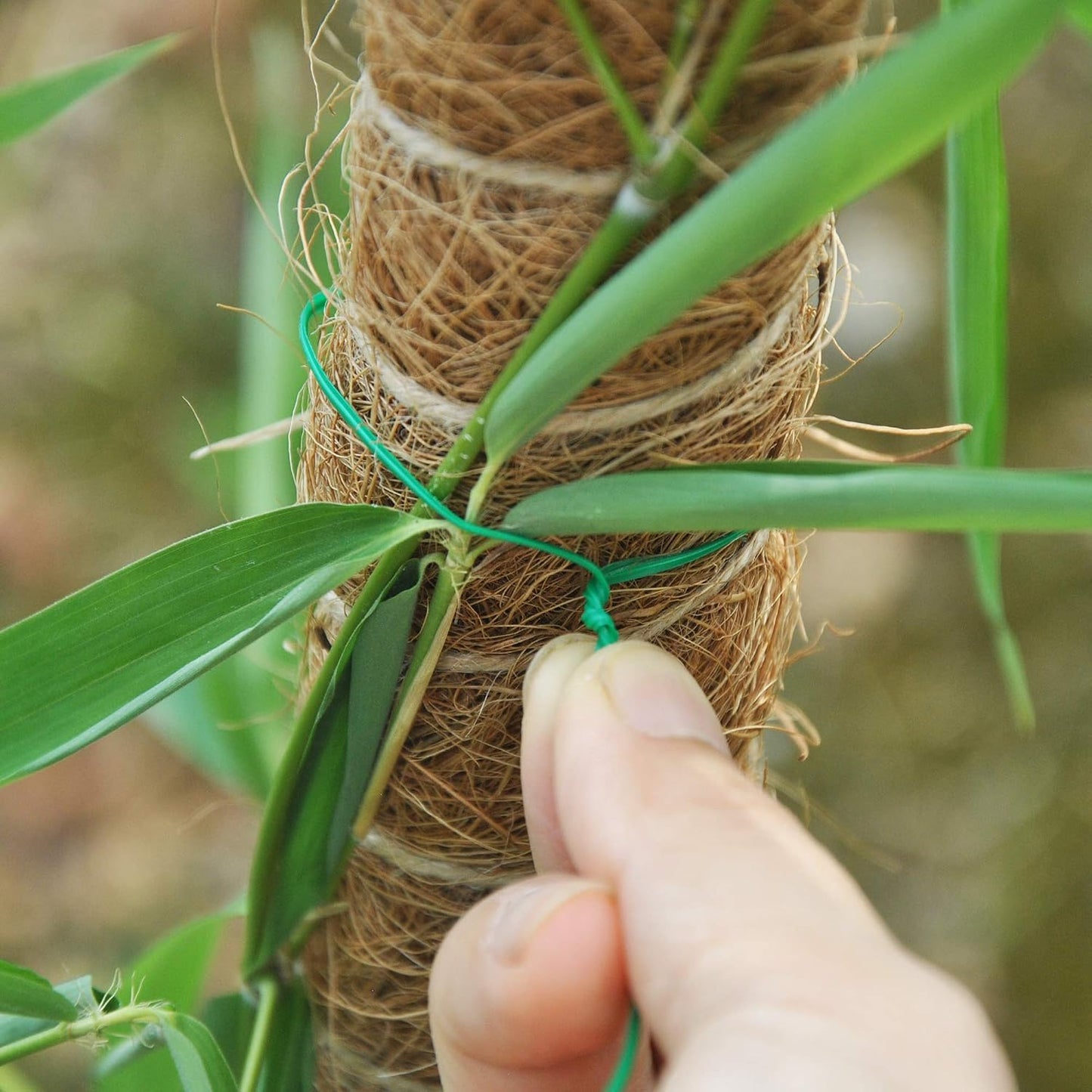 500 Feet (152M) Twist Ties with Cutter, Plastic Multi-purpose Reusable Twist Wire for Gardening, Home, Office