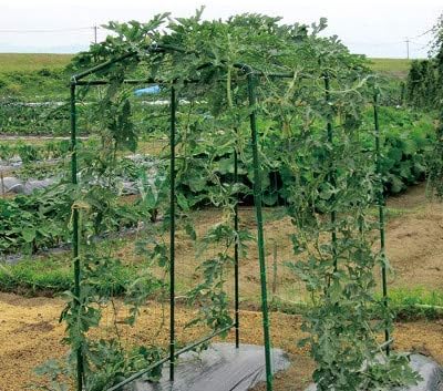 Green Trellis Netting 4x100 ft Heavy Duty Garden Netting Polypropylene Plant Support Net for Climbing Vegetables Fruits Flowers