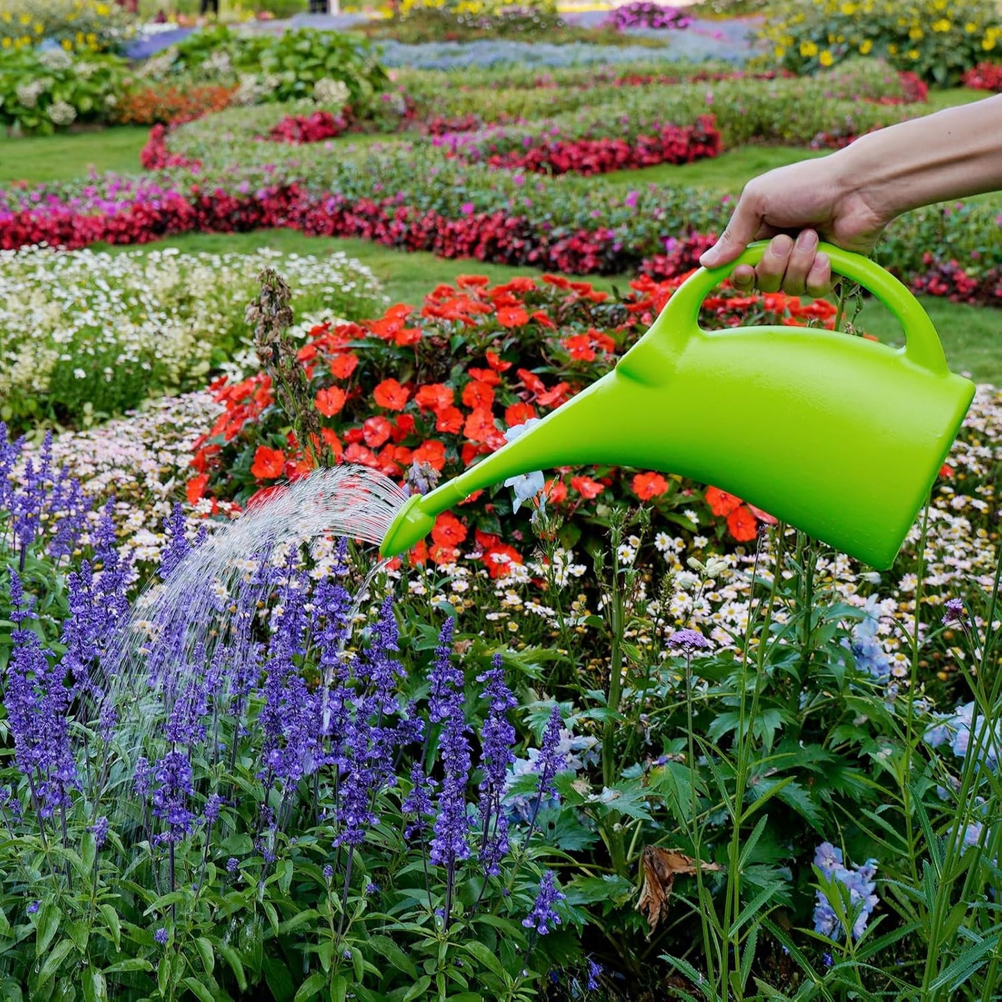Watering Can for Indoor Plants, Water Can with Shower Head, 1/2 Gallon (Green)
