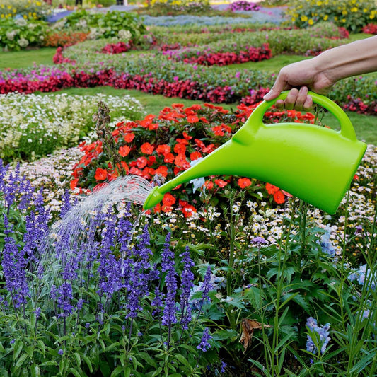 Watering Can for Indoor Plants, Water Can with Shower Head, 1/2 Gallon (Green)