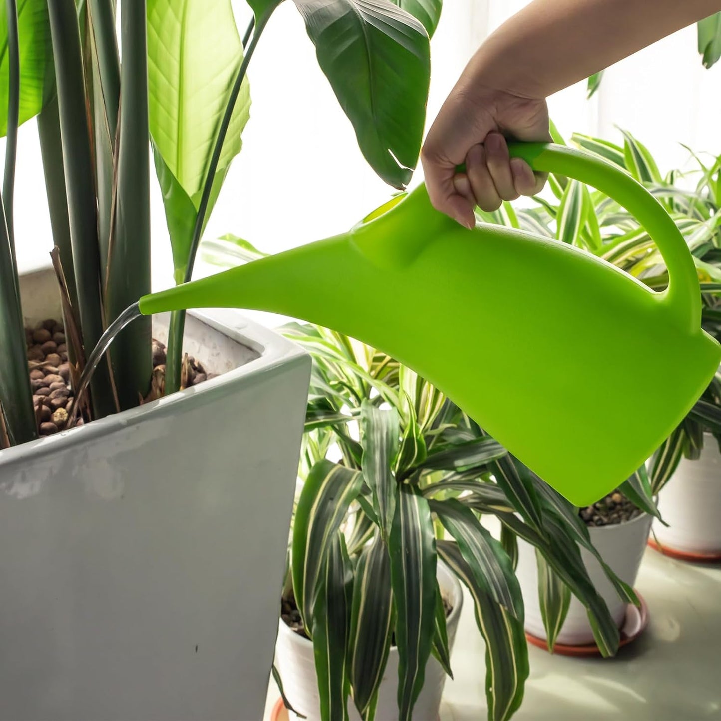 Watering Can for Indoor Plants, Water Can with Shower Head, 1/2 Gallon (Green)