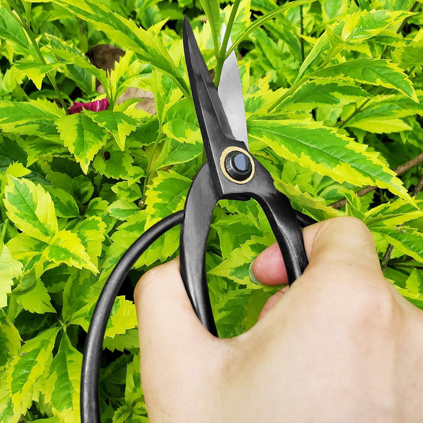 Professional 7.3" Bonsai Scissors(GPPS-1012), For Arranging Flowers, Trimming Plants, For Grow Room or Gardening, Bonsai Tools. Garden Scissors Loppers.