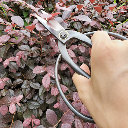 Professional 7.3" Bonsai Scissors(GPPS-1012), For Arranging Flowers, Trimming Plants, For Grow Room or Gardening, Bonsai Tools. Garden Scissors Loppers.