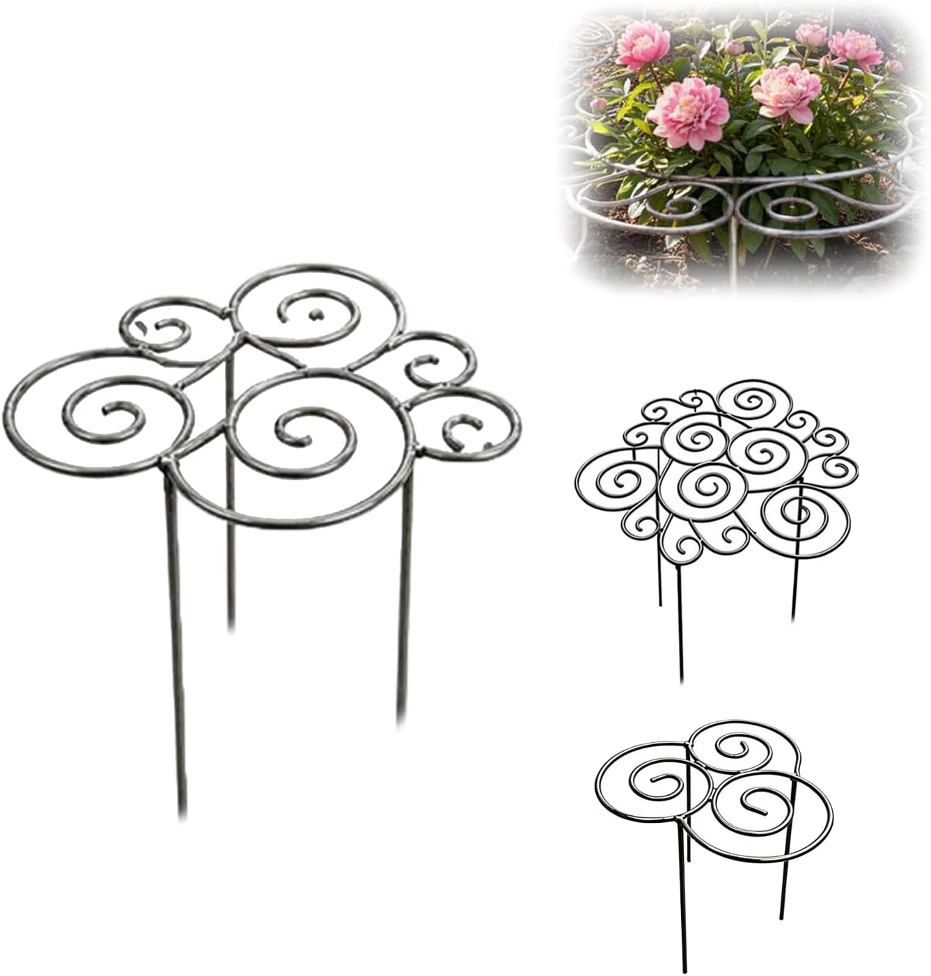 Peony Cages and Supports Ring for Garden, Decorative Grow Through Rings, Provide Dependable Structure for Perennials and Herbaceous Plants, Assisted Plant Growth (Medium)