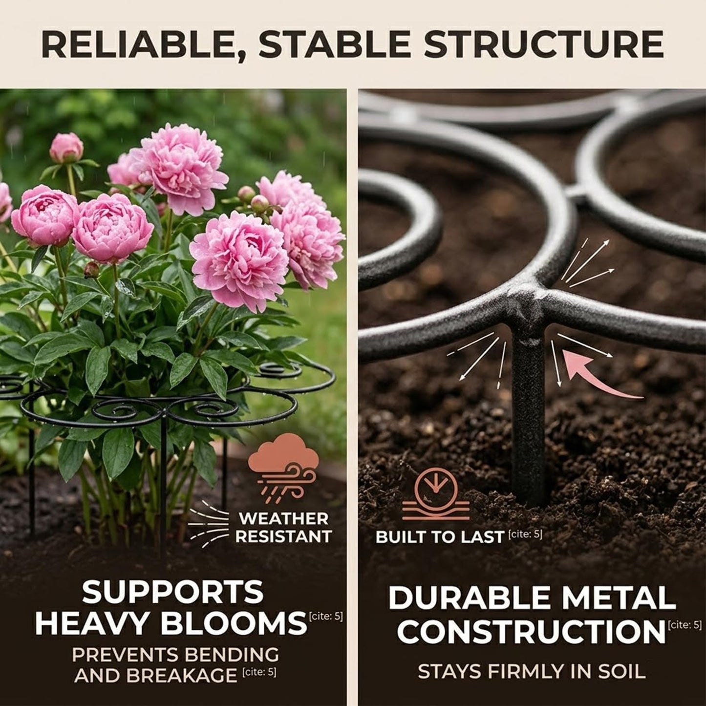 Peony Cages and Supports Ring for Garden, Decorative Grow Through Rings, Provide Dependable Structure for Perennials and Herbaceous Plants, Assisted Plant Growth (Medium)