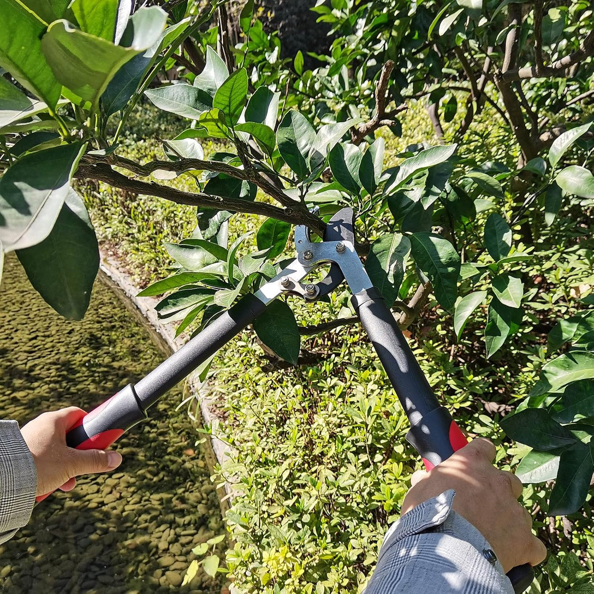 Loppers for Tree Trimming Heavy Duty Branch Cutter, 1.6" Cut Capacity