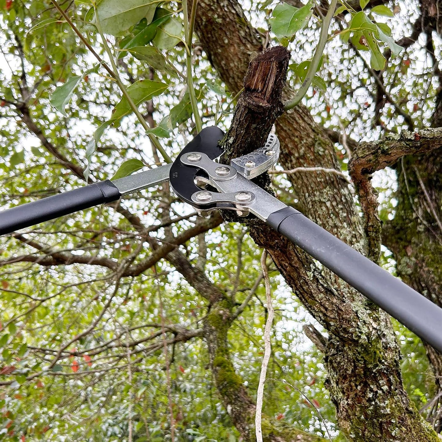 Loppers for Tree Trimming Heavy Duty Branch Cutter, 1.6" Cut Capacity