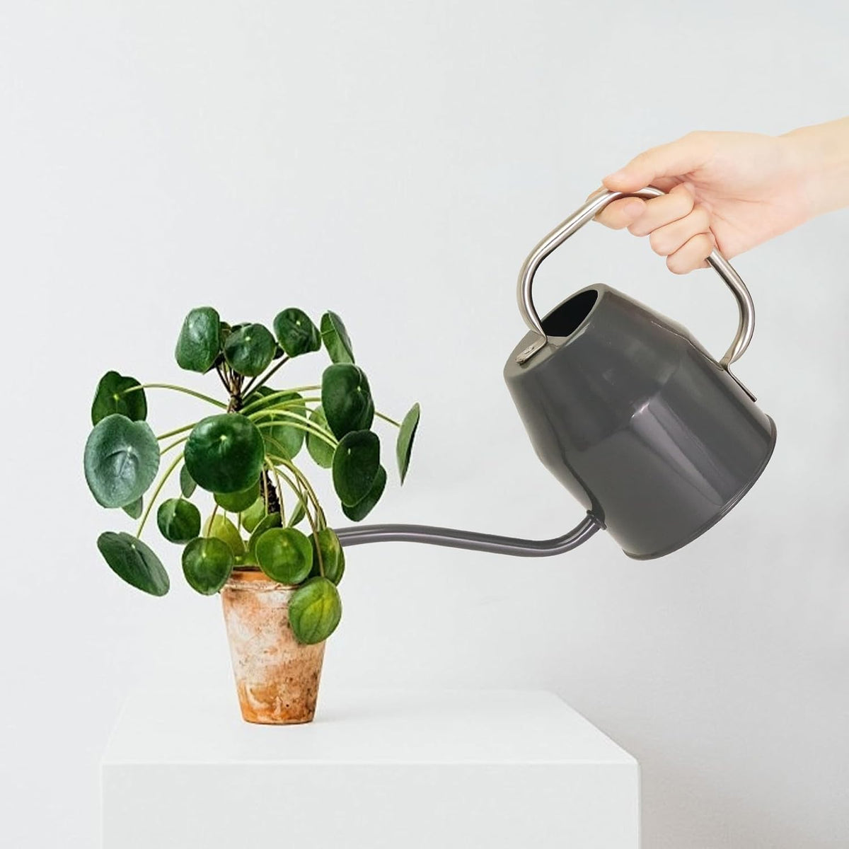 Metal Watering Can with Removable Spout, Galvanized, Perfect for Indoor and Outdoor Use (1 Gallon, Yellow)